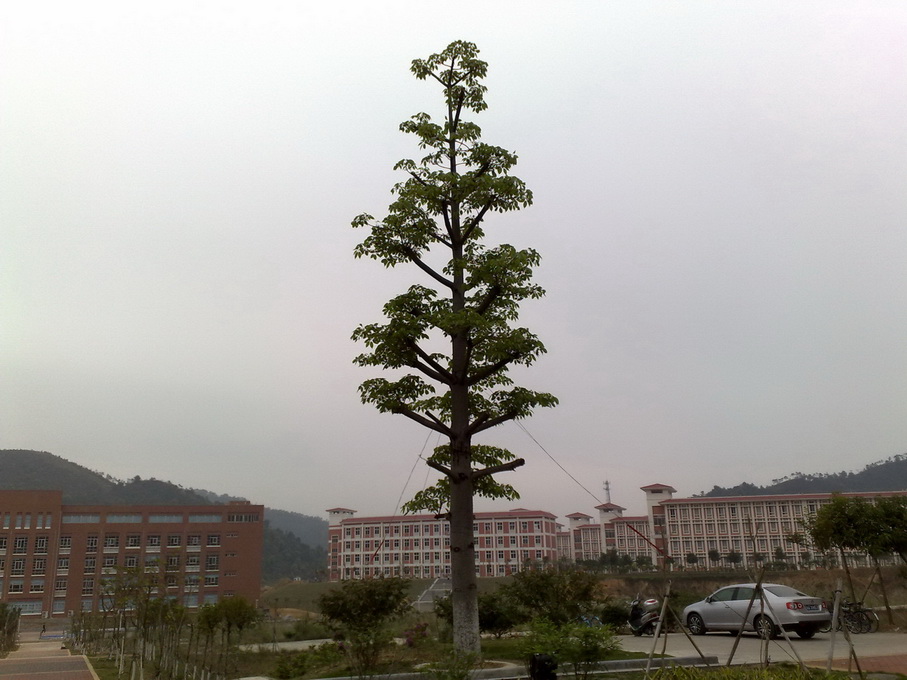 200904122086.jpg