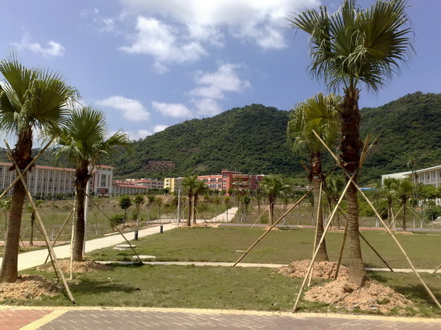 200905042183.jpg