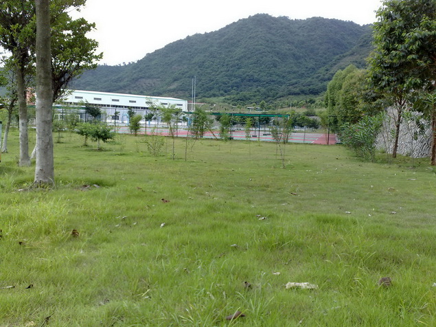 200905302328.jpg