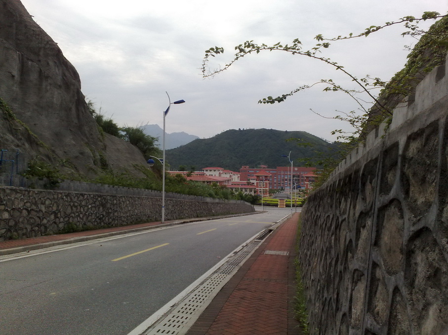 200905302324.jpg