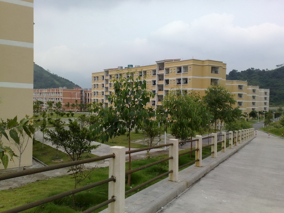200906102485.jpg