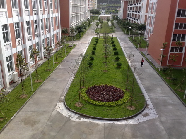 200906112521.jpg