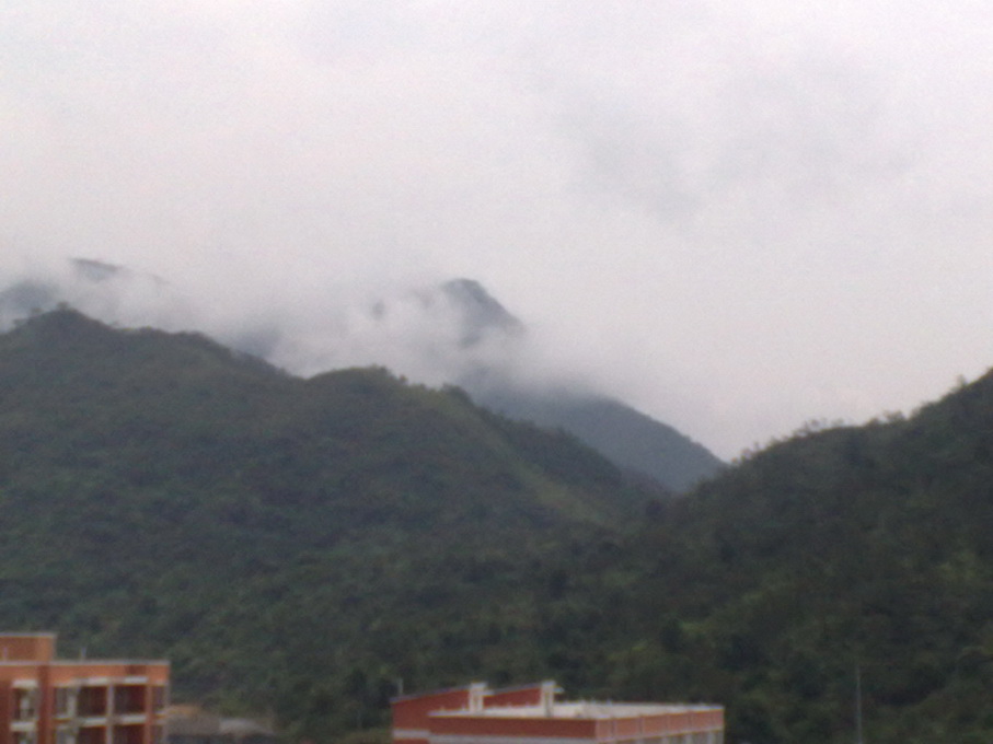 200906142591.jpg