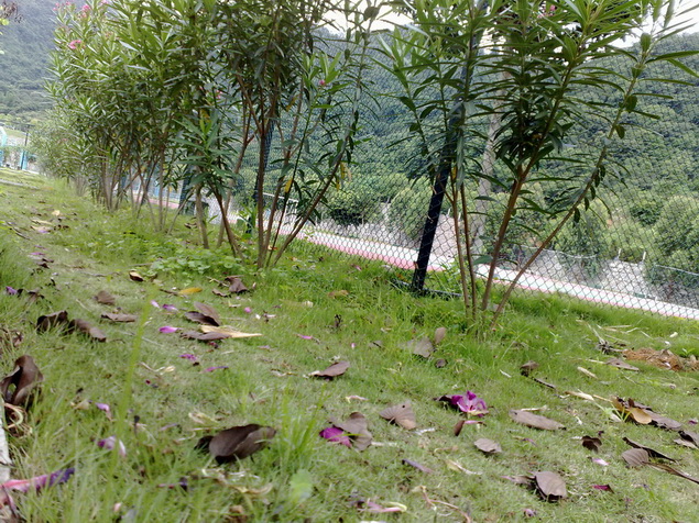 200905302334.jpg