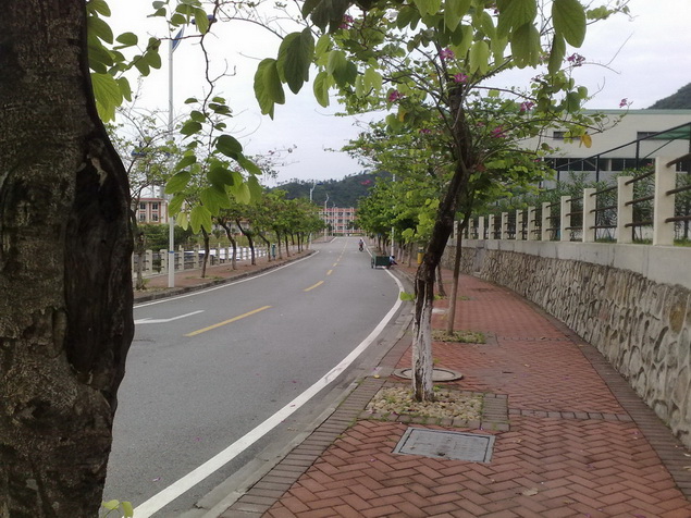 200905302336.jpg