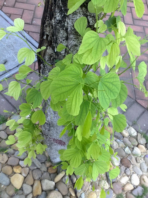 200906022352.jpg