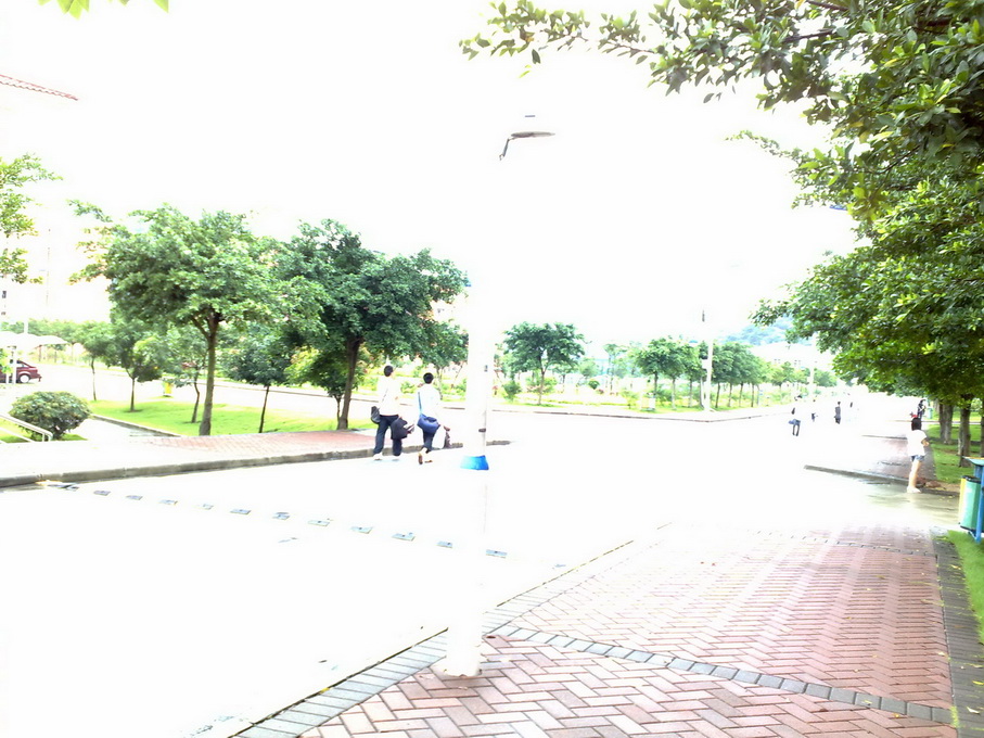 200906122527.jpg