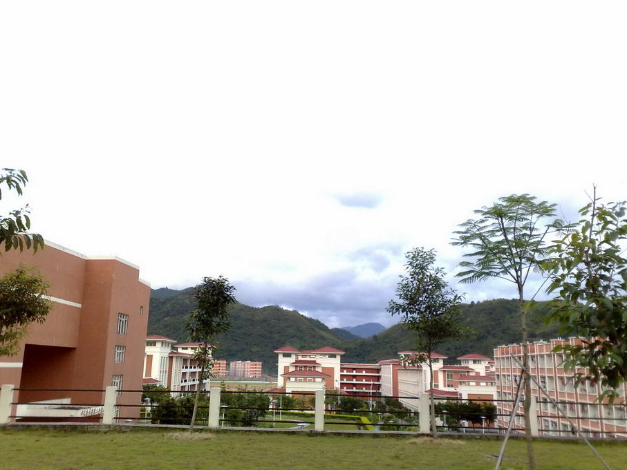 200906262842.jpg