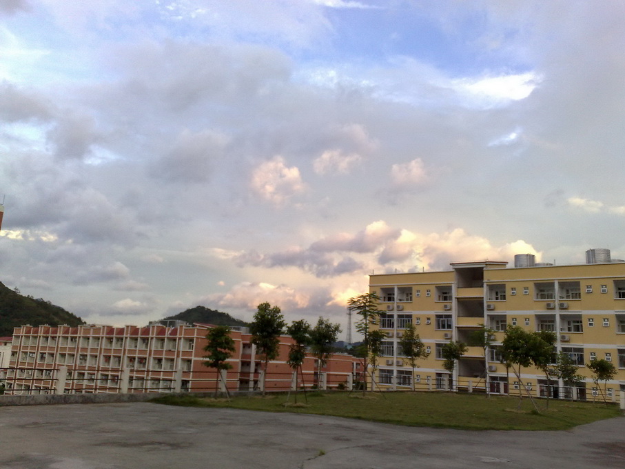 200906262853.jpg