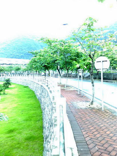 200907042921.jpg