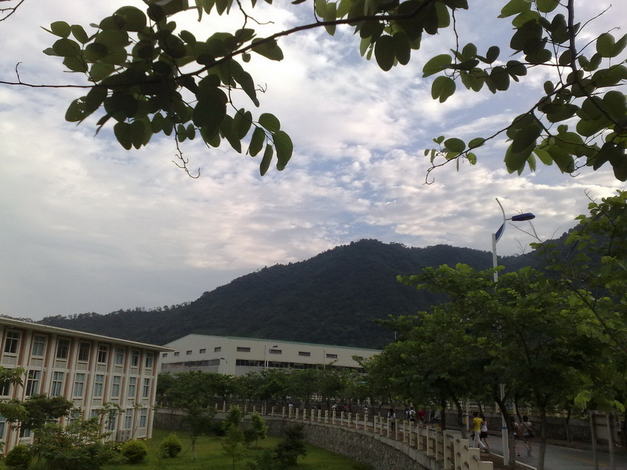 200907042916.jpg