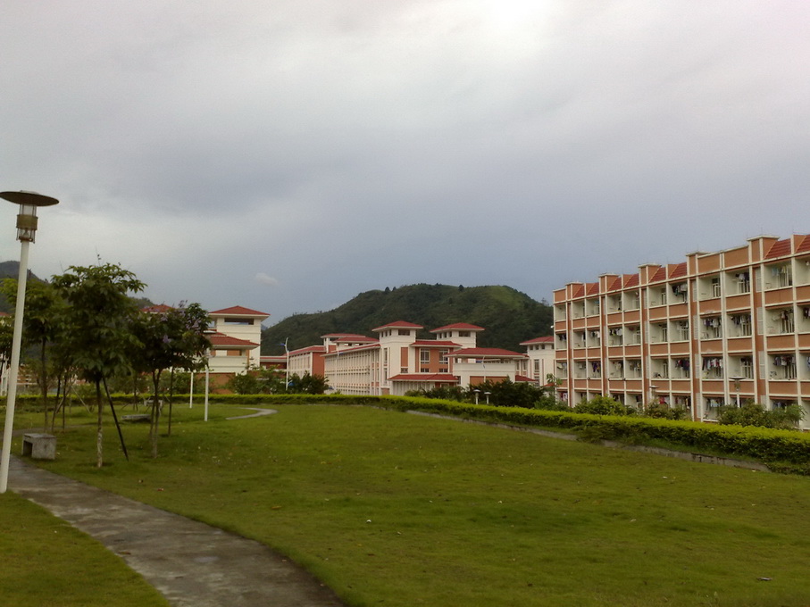 200906282884.jpg