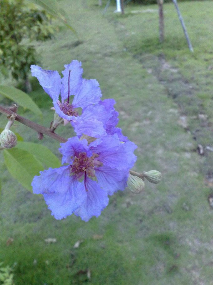 200906262881.jpg