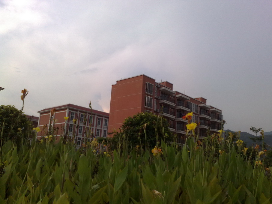 200907062927.jpg
