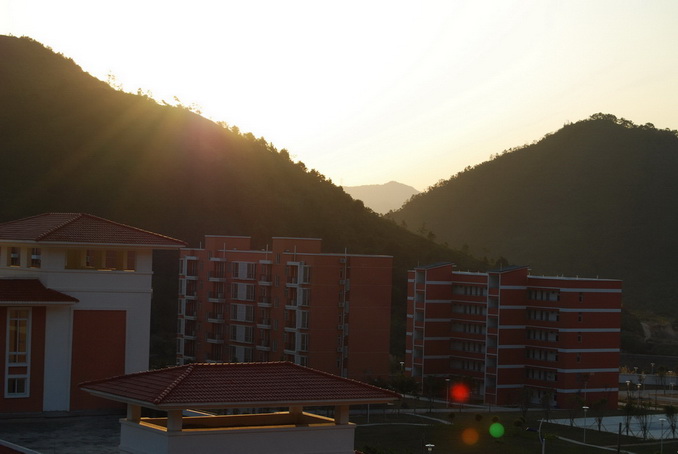 DSC_0319.JPG