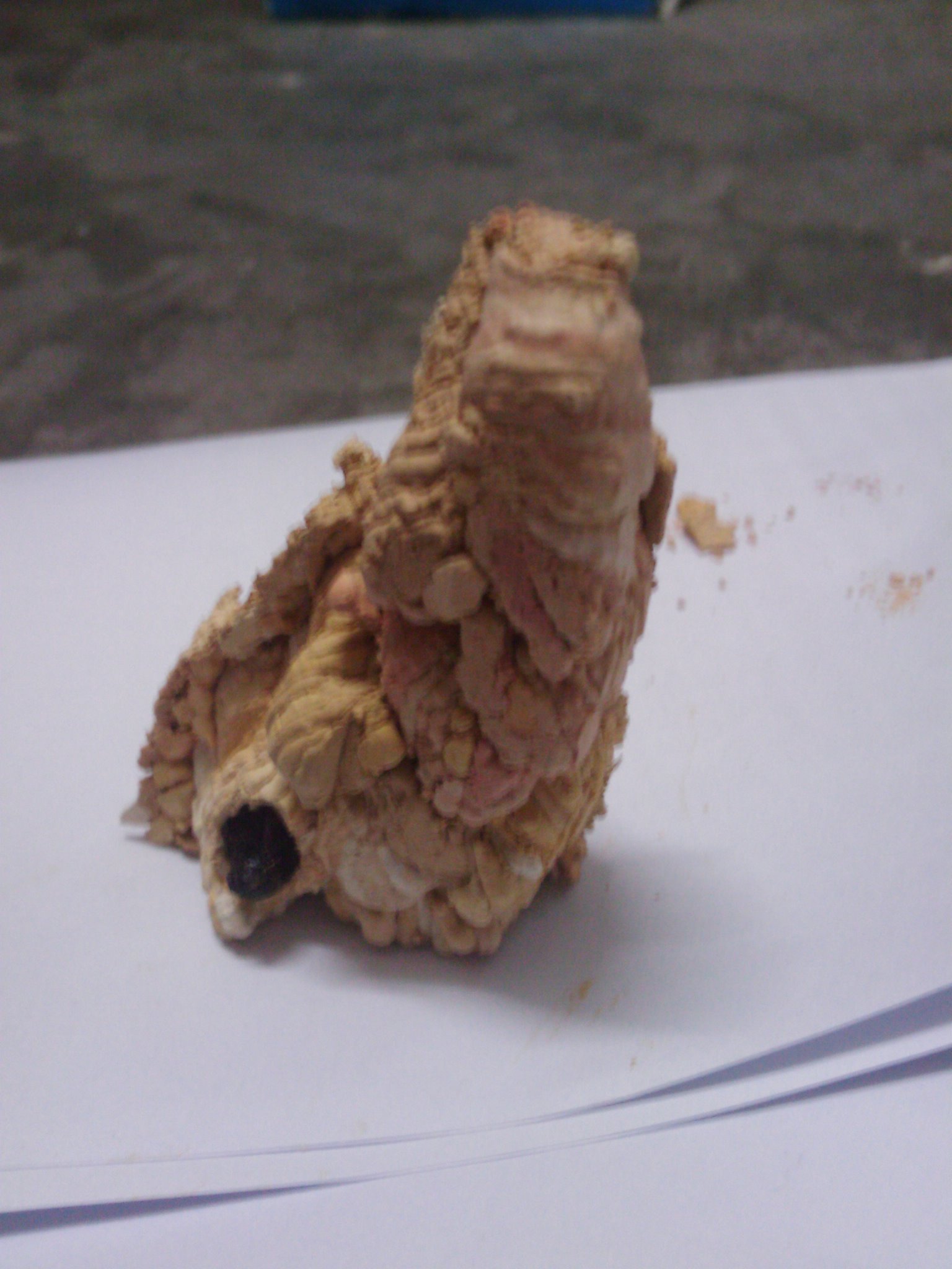 IMAG0031.jpg