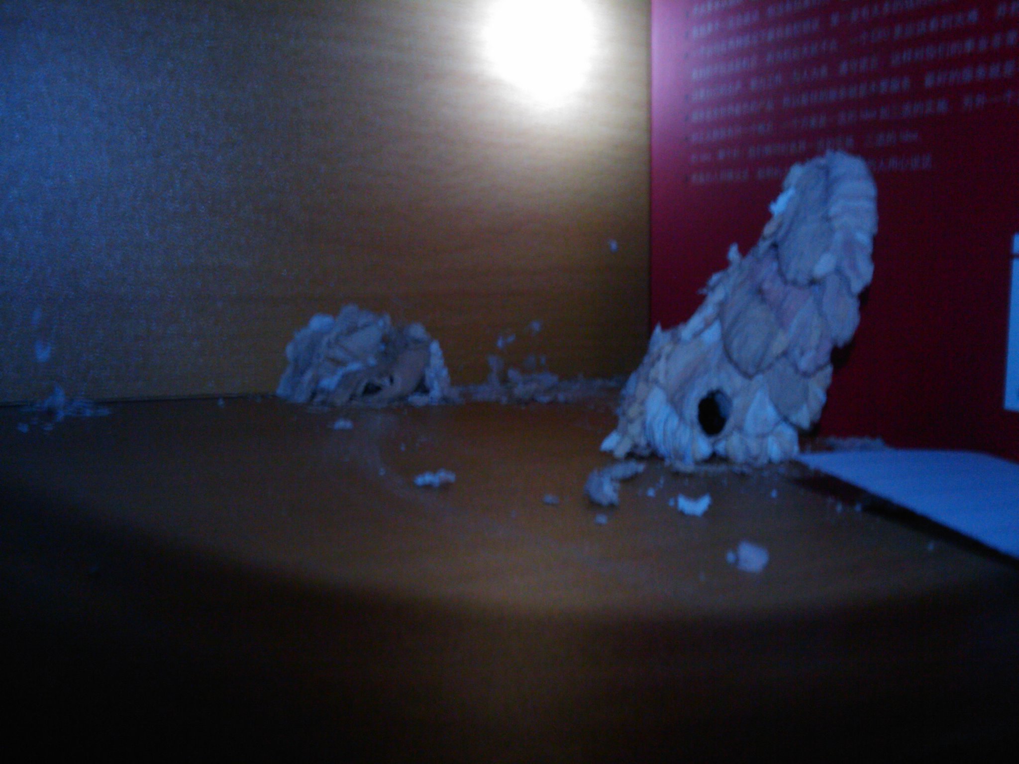 IMAG0025.jpg
