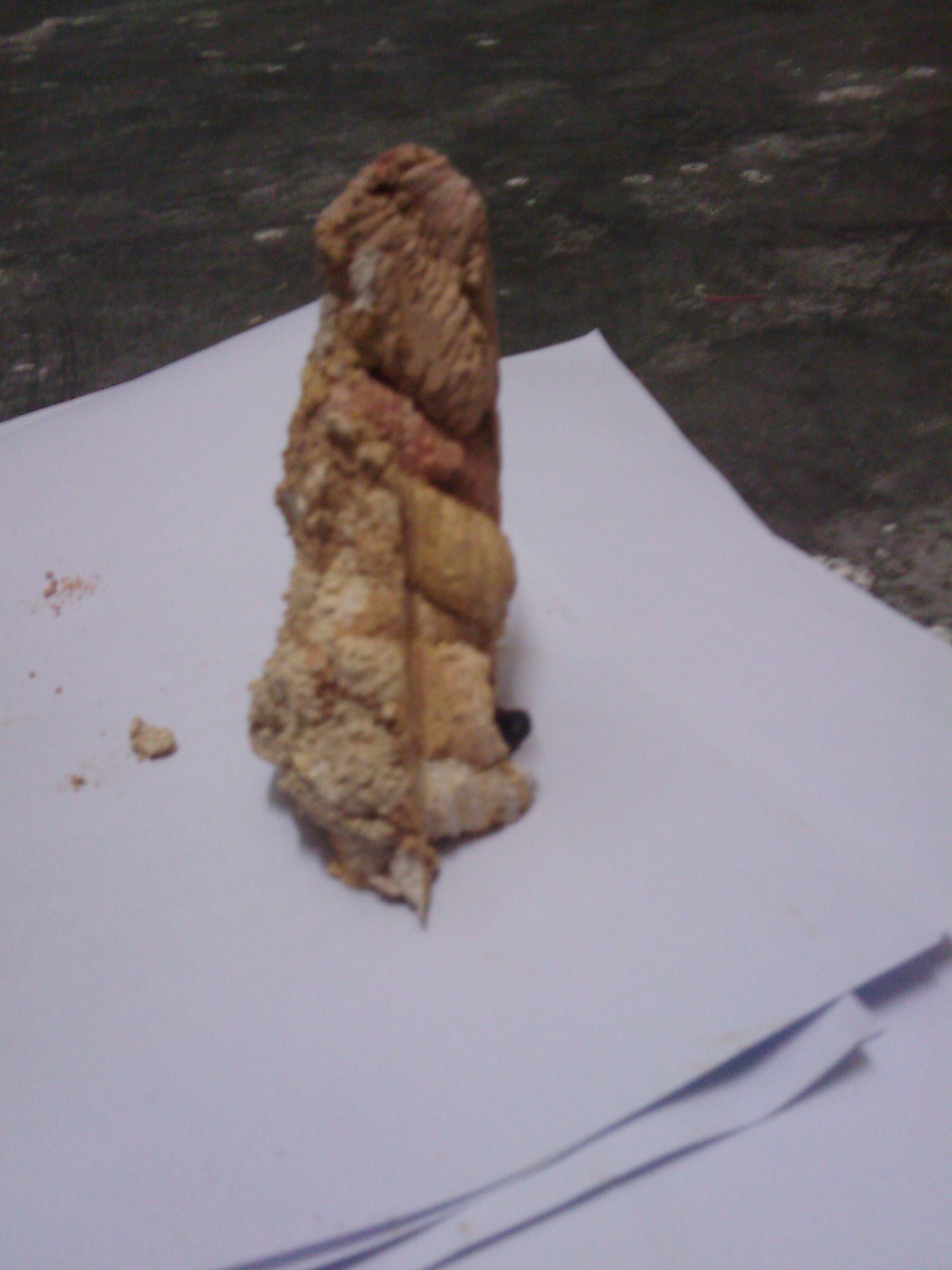 IMAG0028.jpg