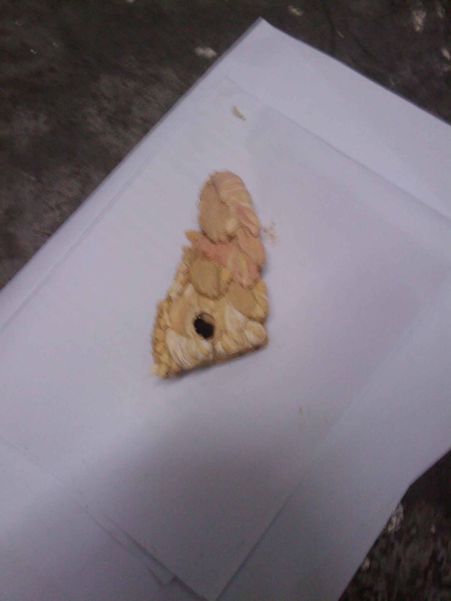 IMAG0027.jpg
