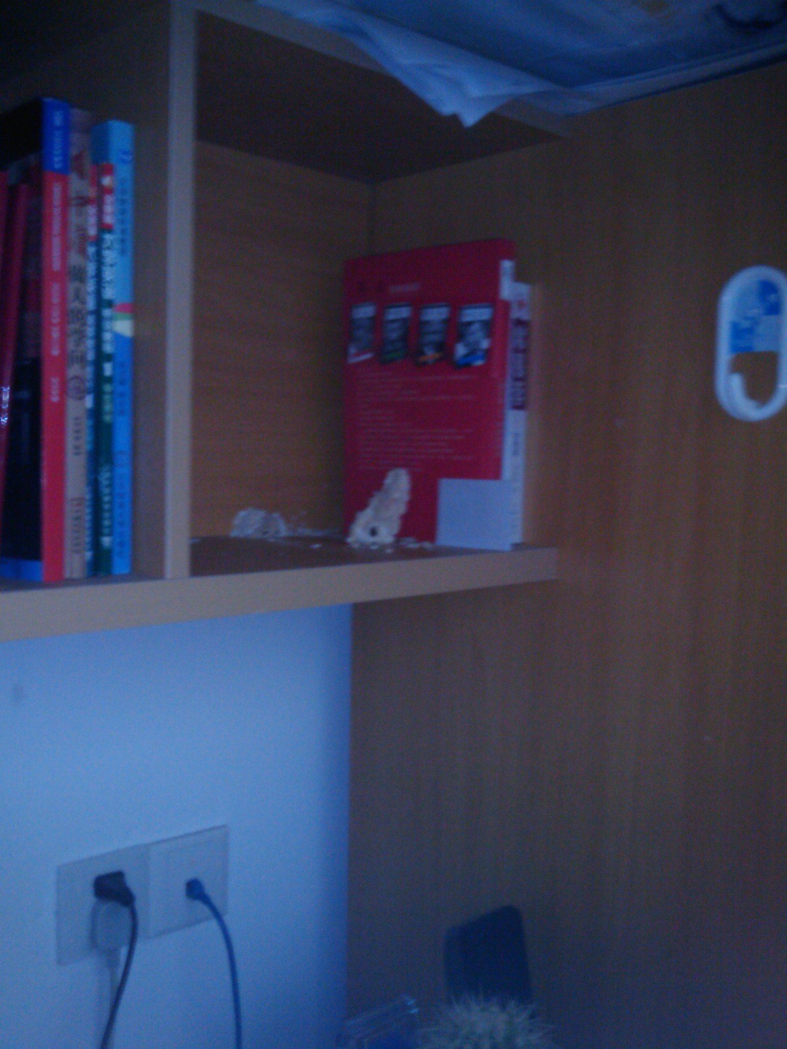 IMAG0019.jpg