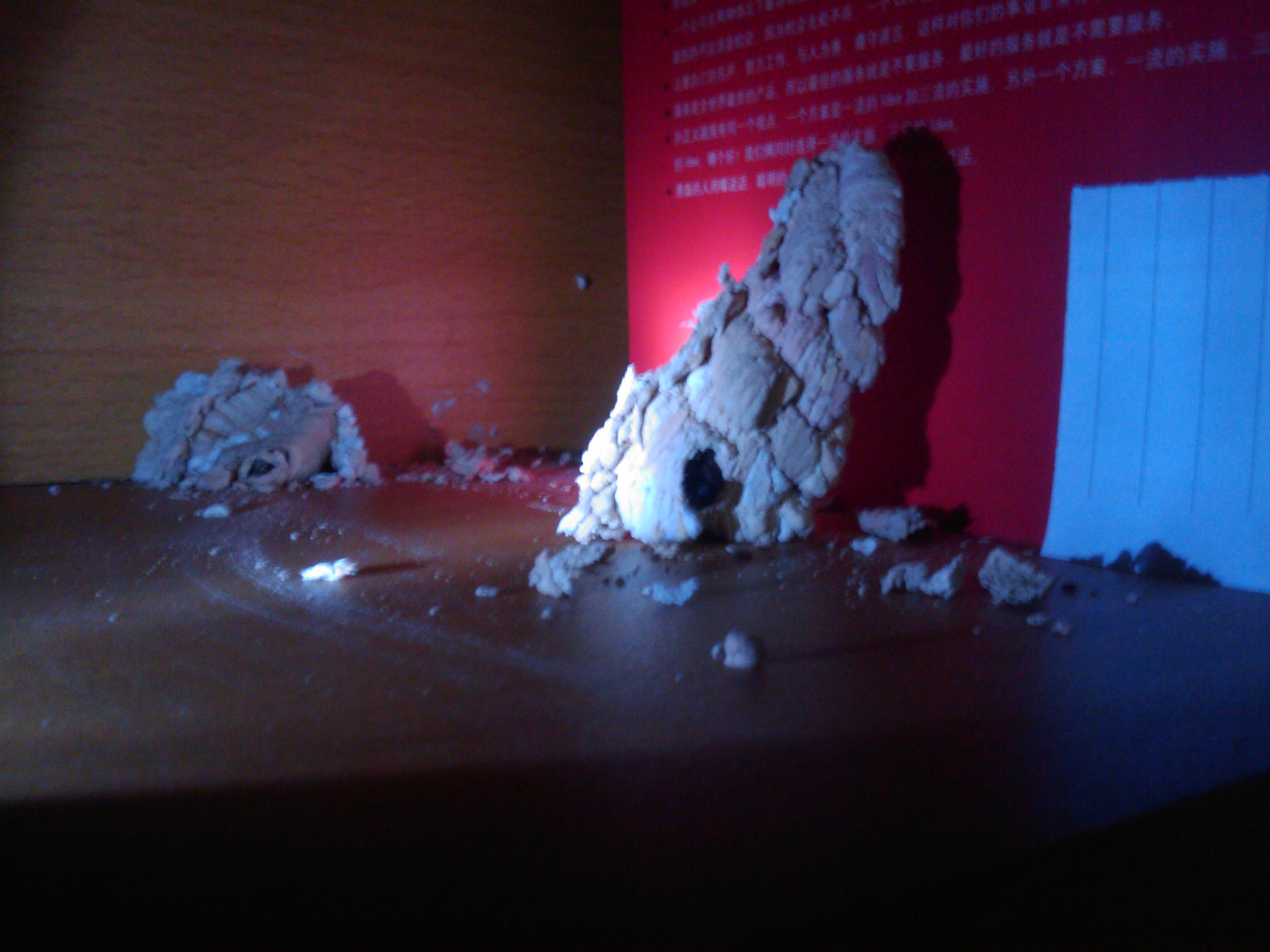 IMAG0022.jpg