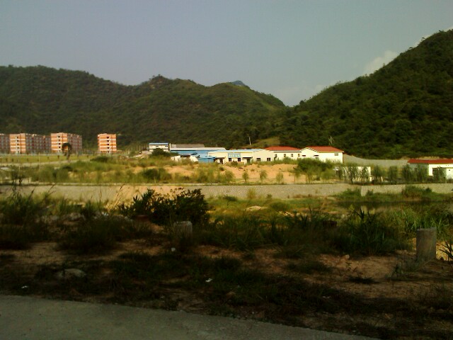 IMG1855A.jpg
