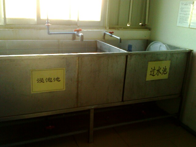 IMG1868A.jpg