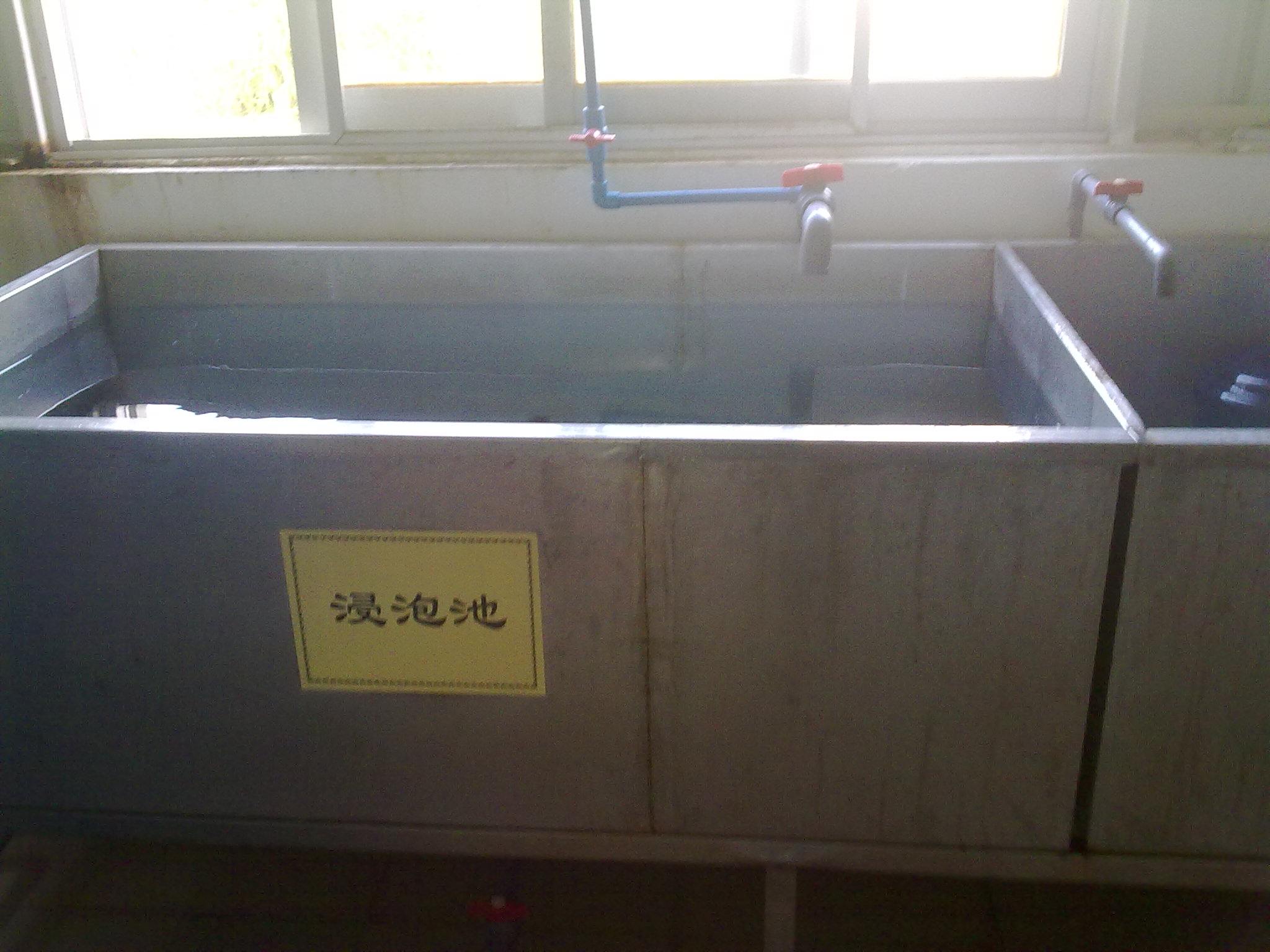 20090925084.jpg