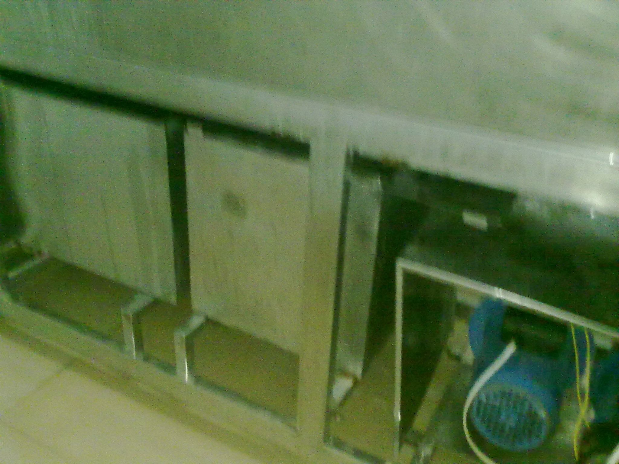 20090925096.jpg