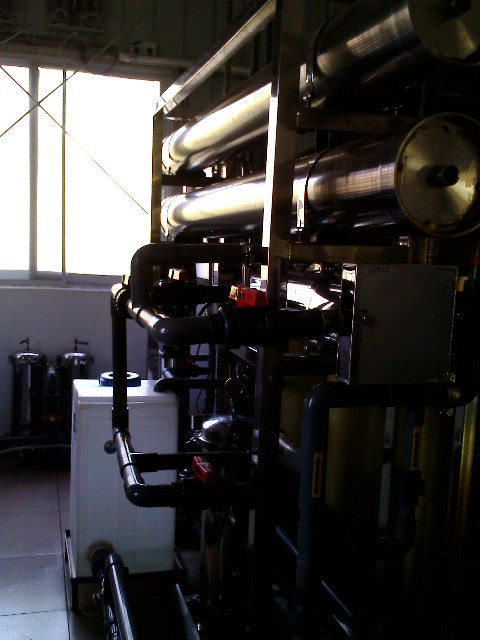 IMG1872A.jpg