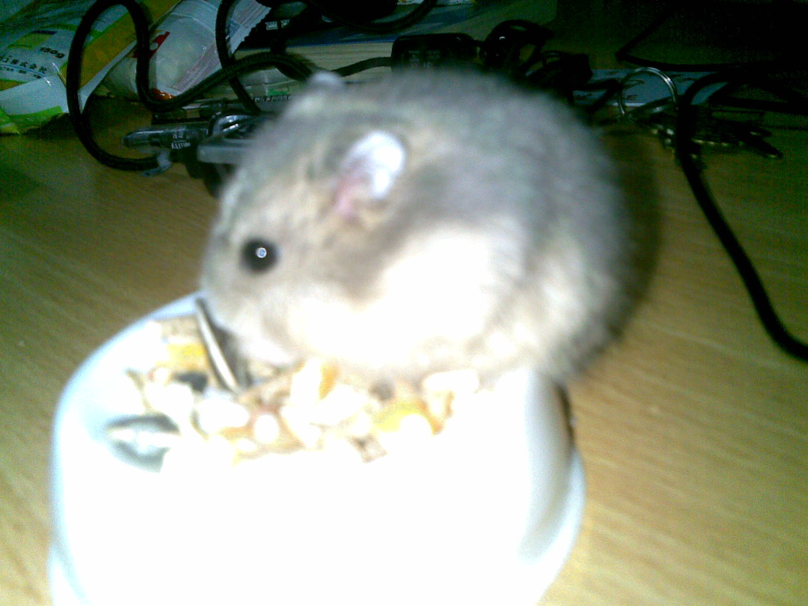 20080613(015).jpg
