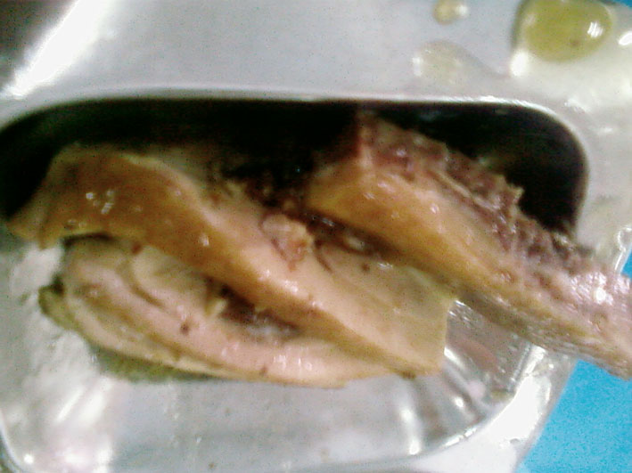 20091028(001).jpg