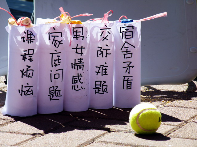 DSCF02288.JPG