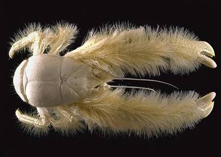 23BA095ACAC8280FED353F2D2B0A4907.jpg