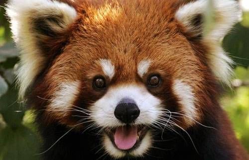 910584808F94EF9775D76C086336C6A6.jpg