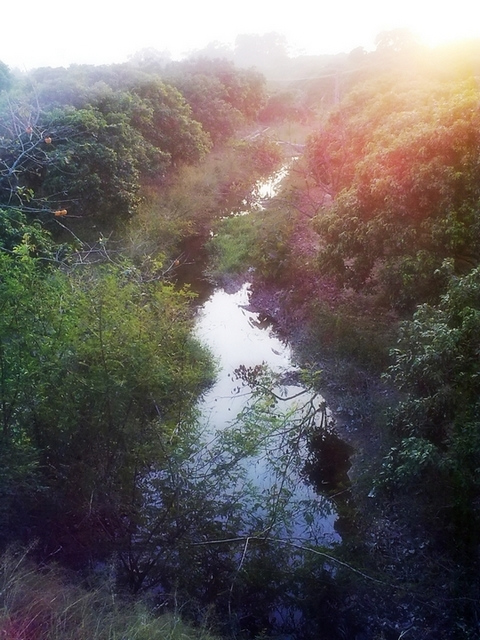 20091123467_光影_1.jpg