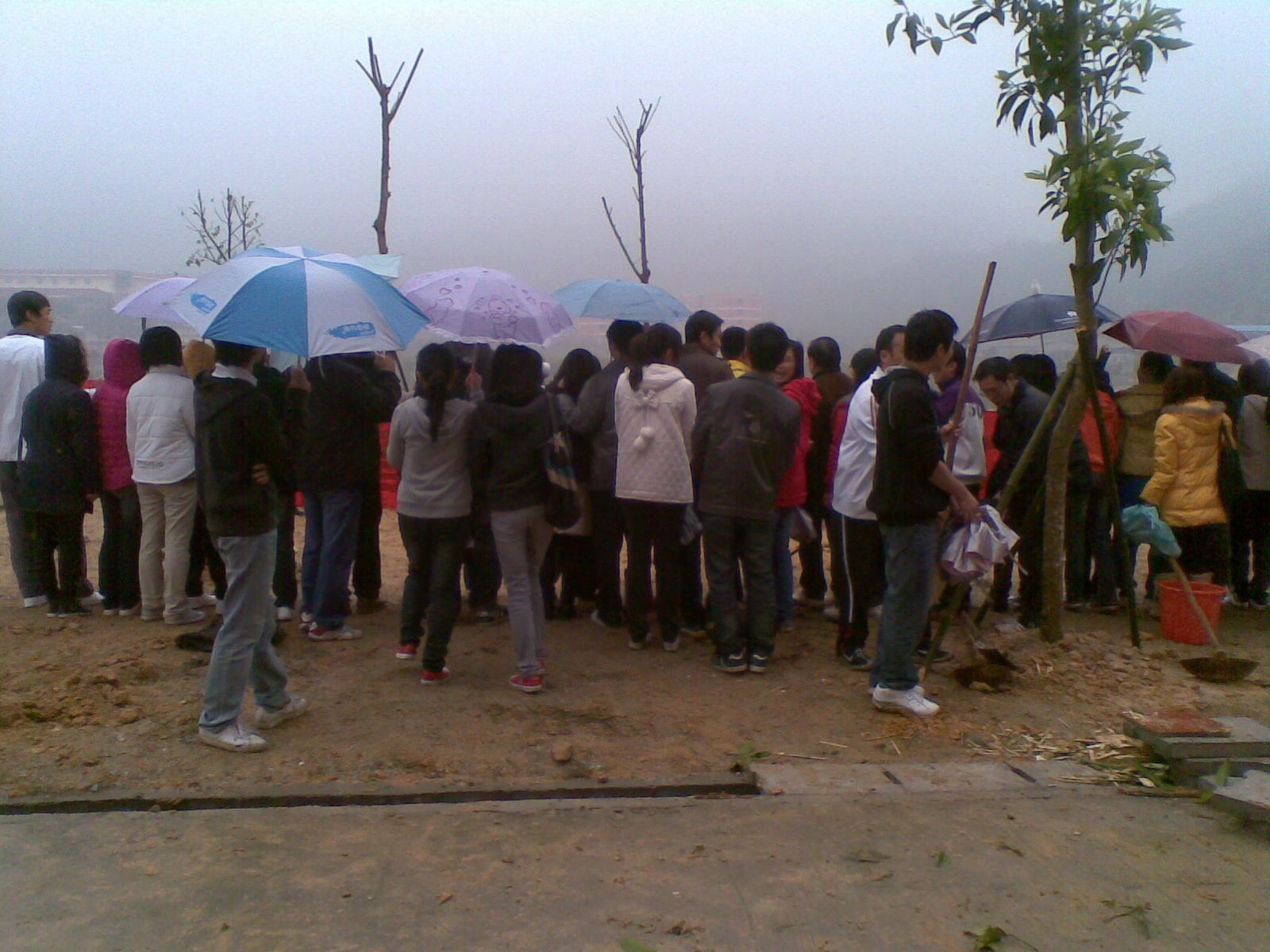 20100312(015).JPG