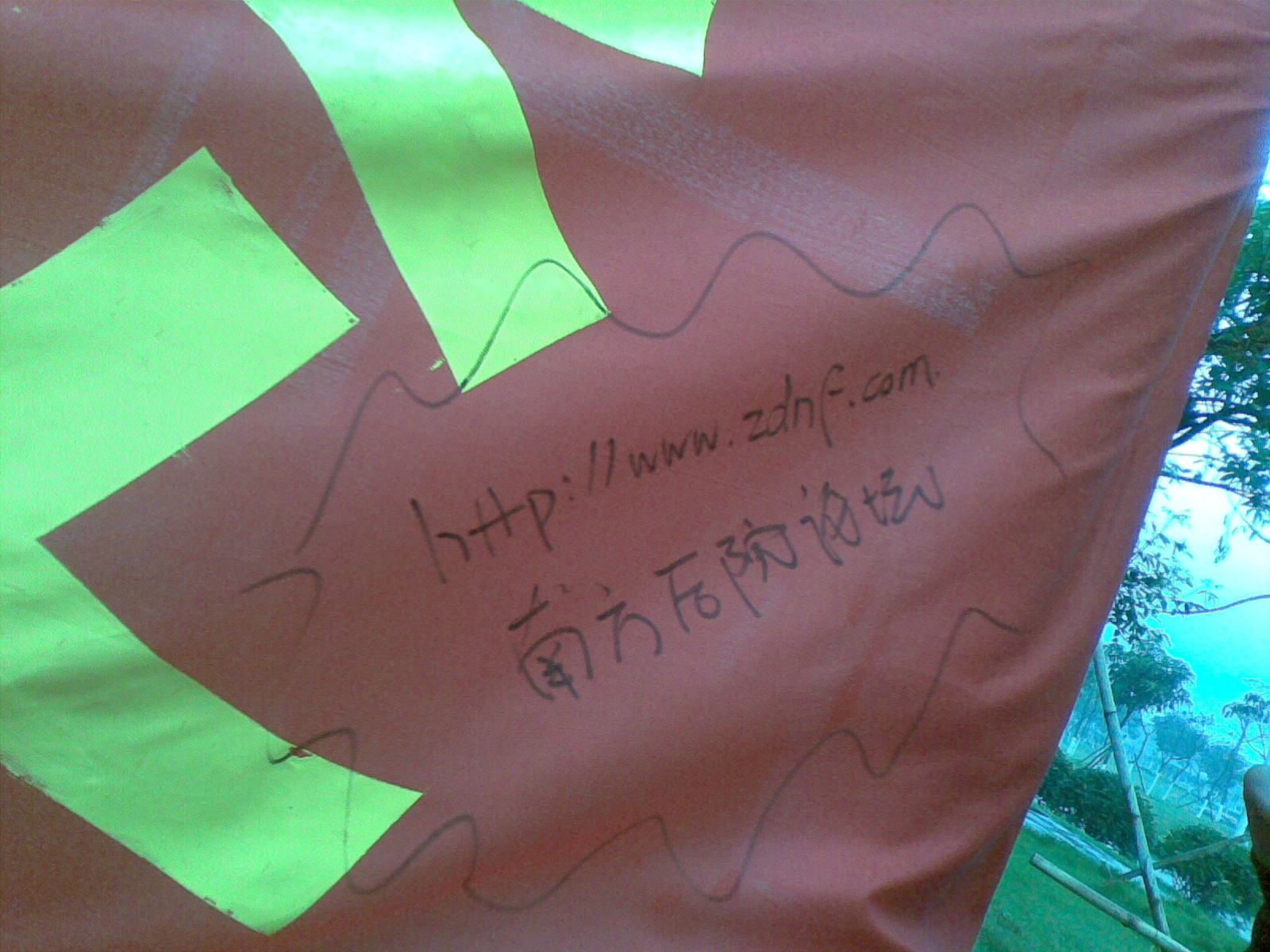 20100312(010).jpg
