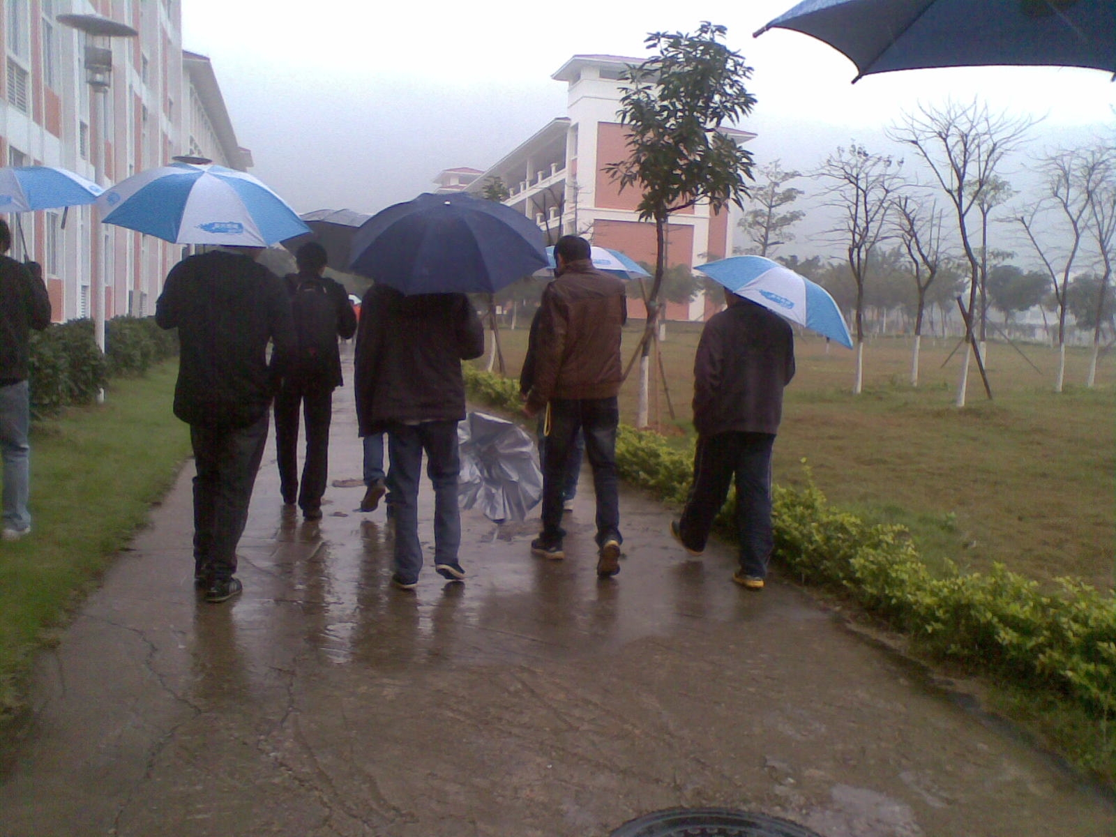 20100312(051).JPG
