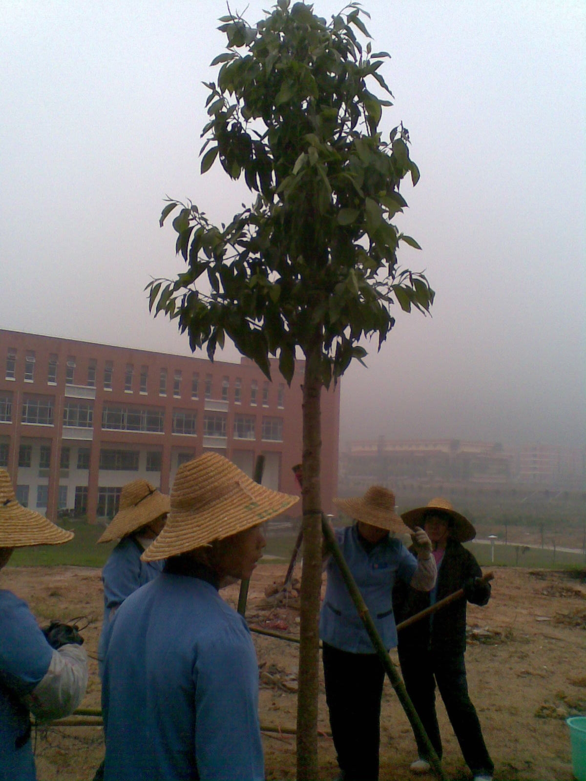 20100312(039).JPG