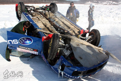 230589_500x500_0.jpg