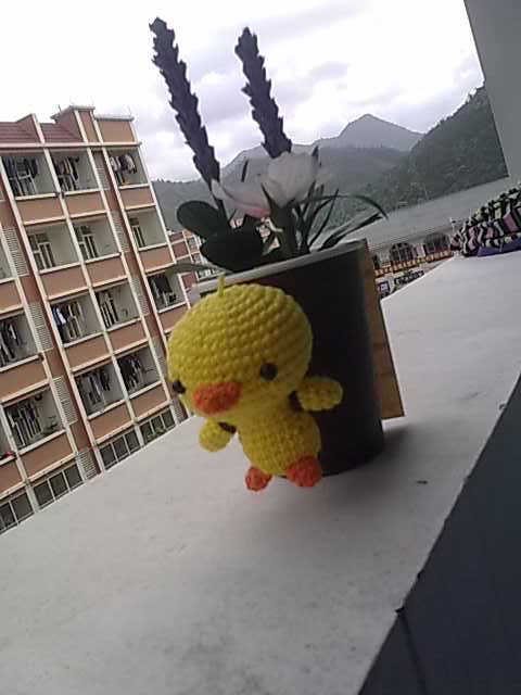 20100323448.jpg