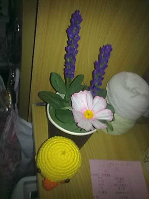 20100323434.jpg