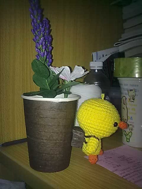 20100323435.jpg