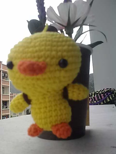 20100323450.jpg