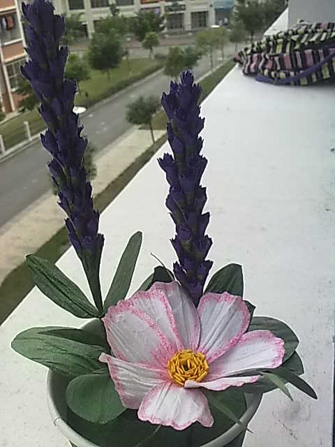20100323451.jpg