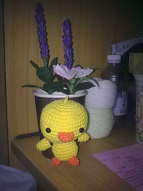 20100323433.jpg