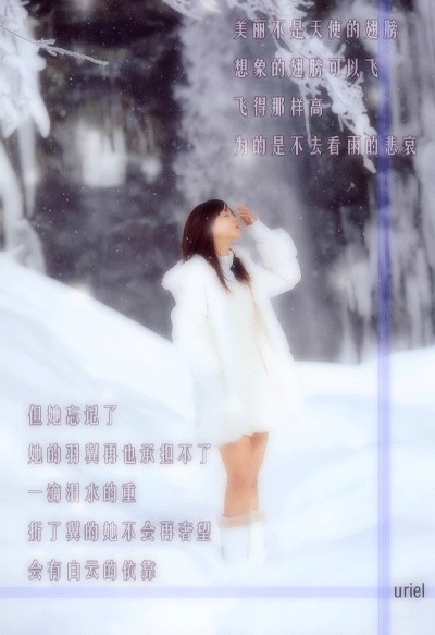 9ab47444-92fd-42e7-9256-055a979213a7_600x600.jpg