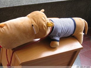 T13CpkXaMRCJPS2Qbb_094620_jpg_310x310.jpg