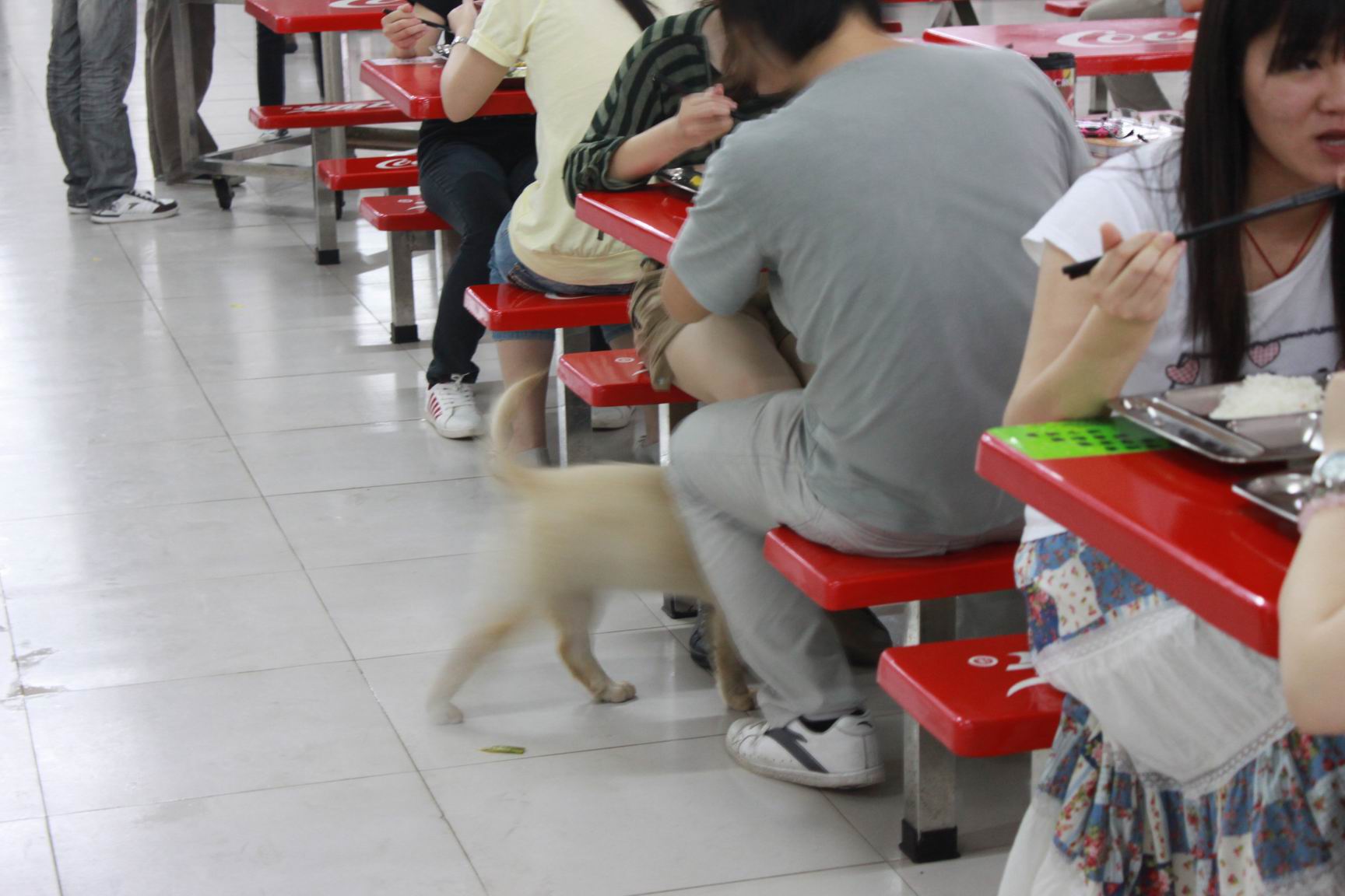 调整大小 IMG_0467.JPG